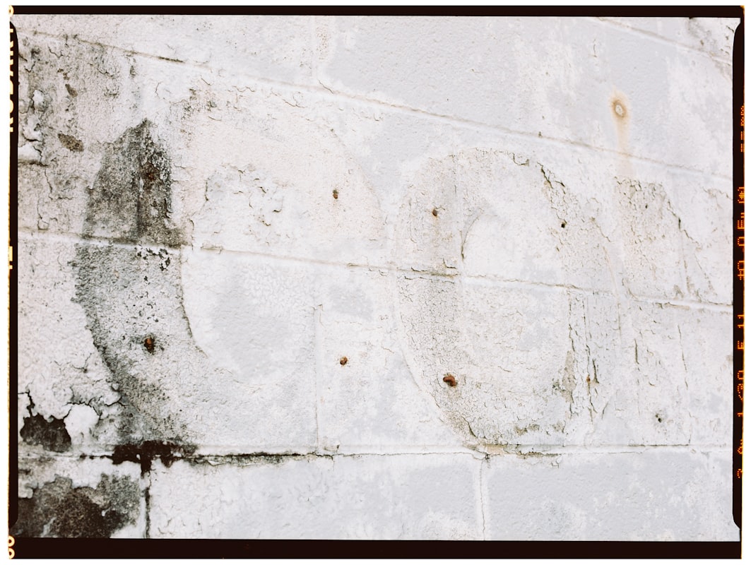 Water Extraction service in Lacey, WA