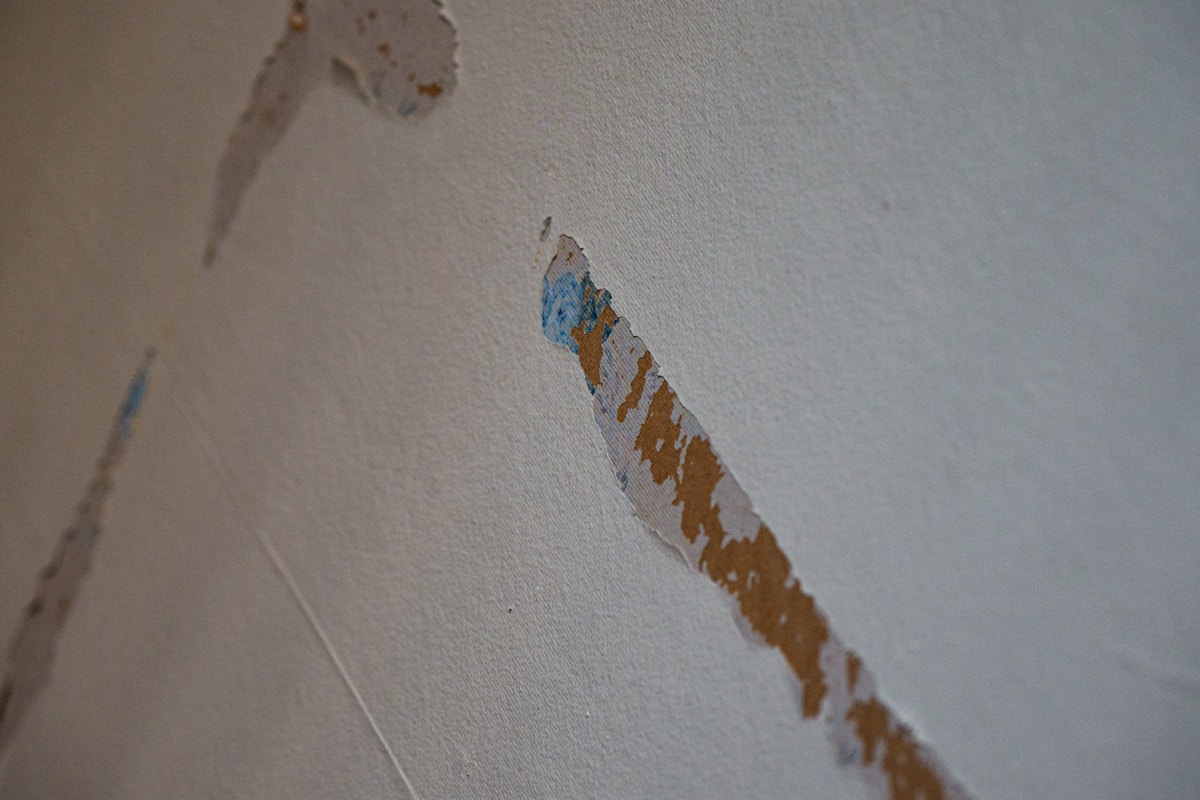 Storm Damage Repair service in Lacey, WA